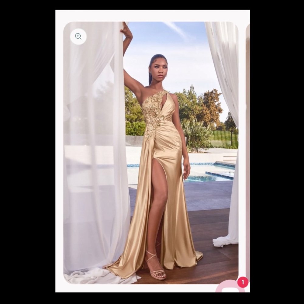 Champagne gown dress
